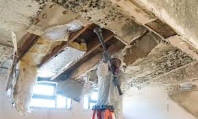 Best Residential Mold Inspection & Testing  in Hartington, NE